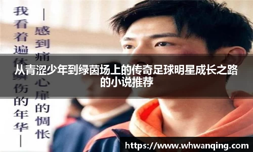 从青涩少年到绿茵场上的传奇足球明星成长之路的小说推荐
