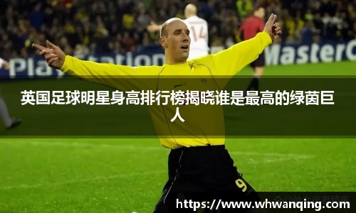 英国足球明星身高排行榜揭晓谁是最高的绿茵巨人